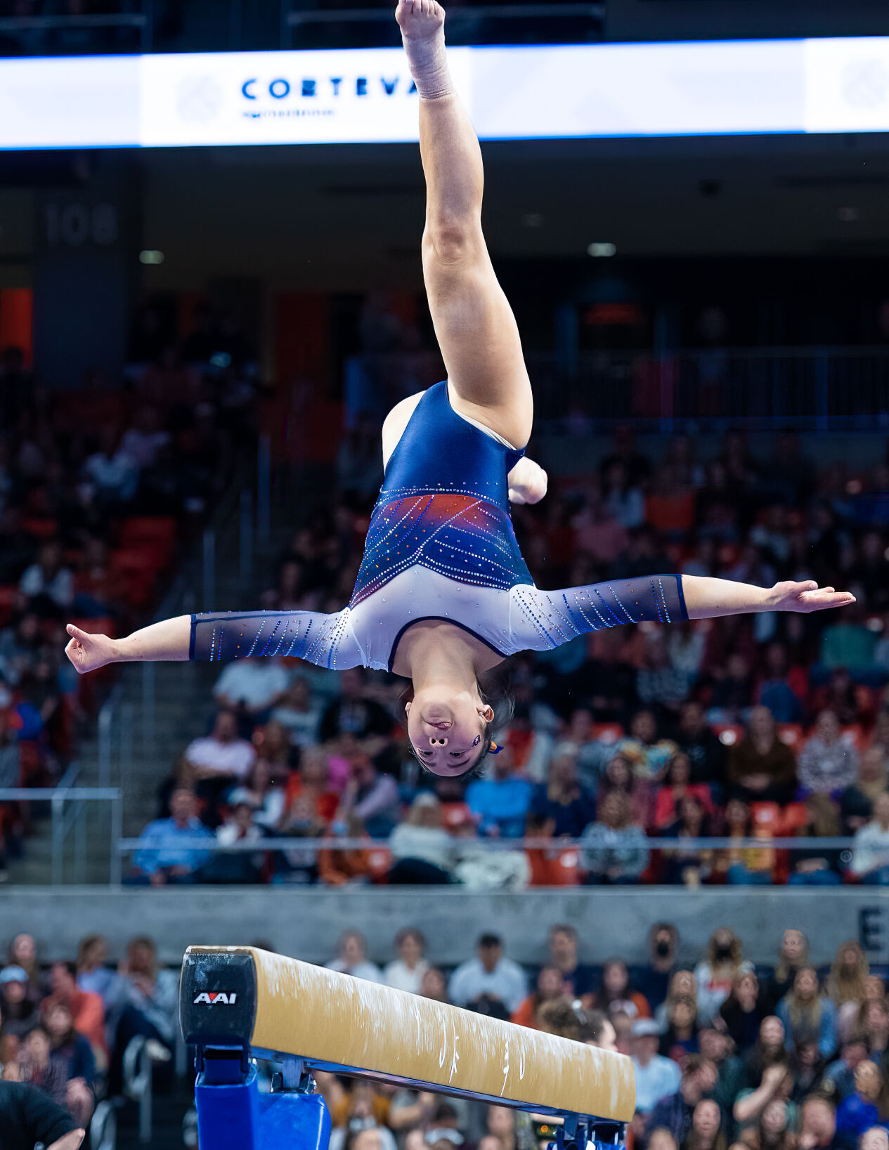 Auburn Gymnastics vs Missouri